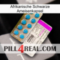 Africa Black Ant Capsule new07